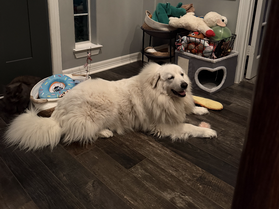 Lumi